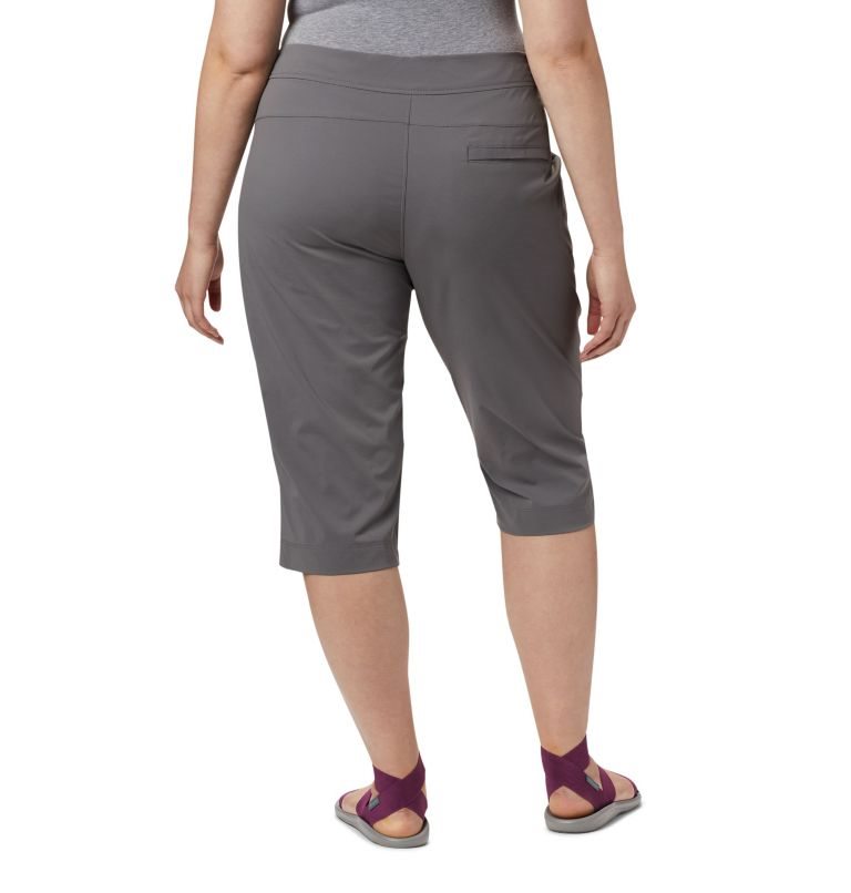 Women's Columbia Anytime Outdoor Capris Sport Pants Grey | Plus Size CA-V14L0